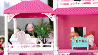 Transfixed Lauren Phillips, Brittney Kade